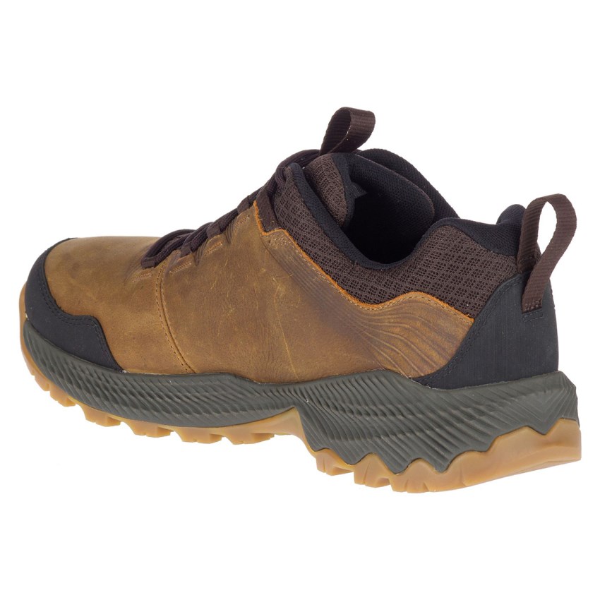 Chaussures Randonnée Merrell Forestbound Marron Homme | D.I.SIHR